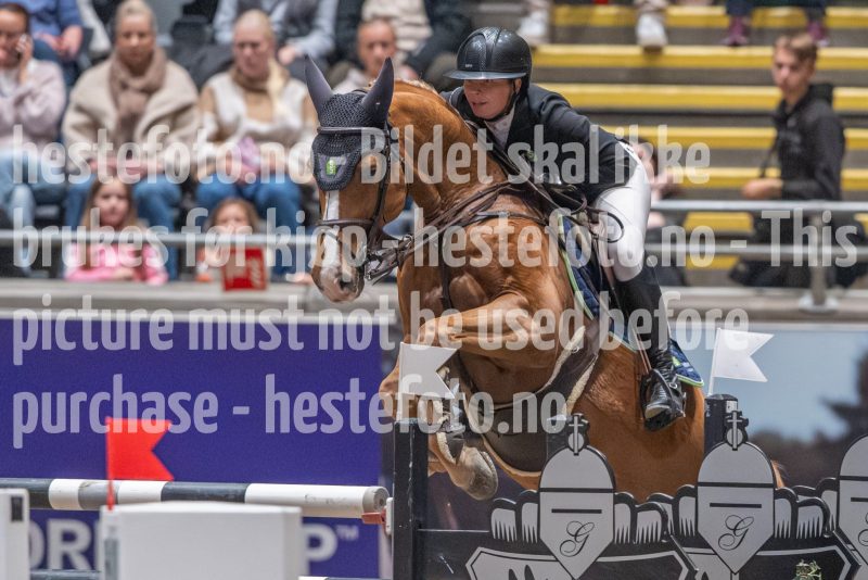 20241020-163055-2024-10-20-16-30-56-86-NIKON-Z-9