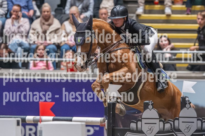20241020-163055-2024-10-20-16-30-56-91-NIKON-Z-9