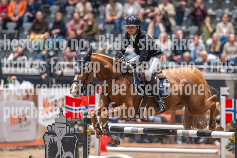 20241020-163059-2024-10-20-16-30-59-21-NIKON-Z-9