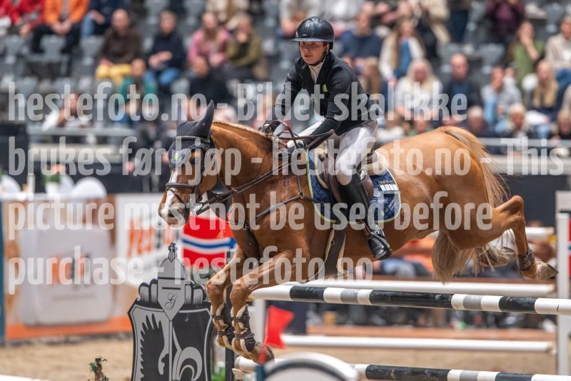 20241020-163059-2024-10-20-16-30-59-25-NIKON-Z-9