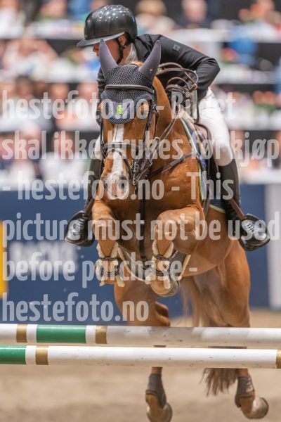 20241020-163102-2024-10-20-16-31-03-55-NIKON-Z-9