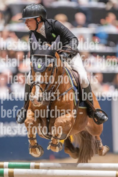 20241020-163102-2024-10-20-16-31-03-65-NIKON-Z-9