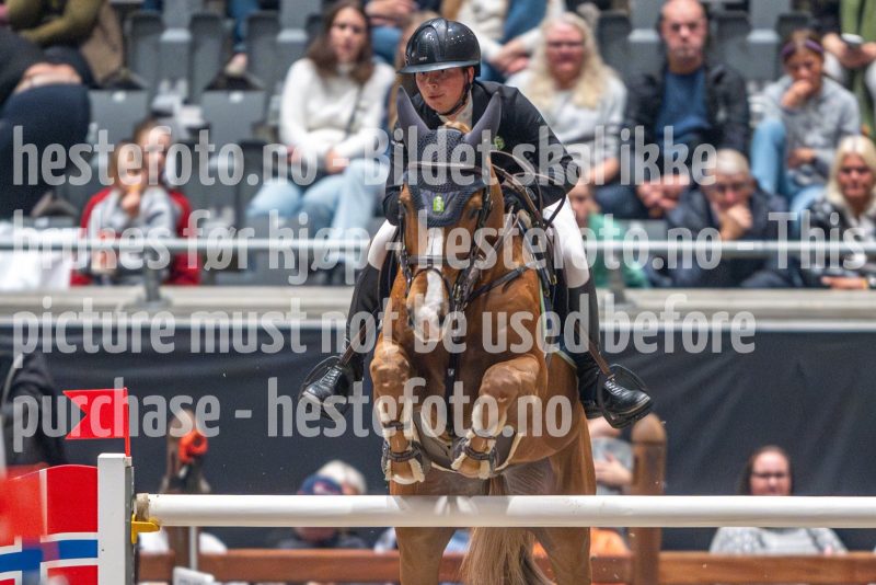 20241020-163125-2024-10-20-16-31-25-06-NIKON-Z-9