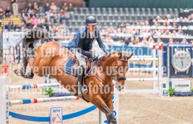 20241020-173006-2024-10-20-17-30-07-22-NIKON-Z-6-2