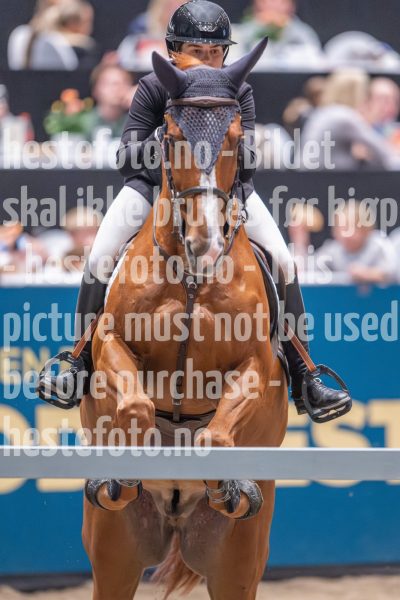 20241020-163446-2024-10-20-16-34-47-43-NIKON-Z-9