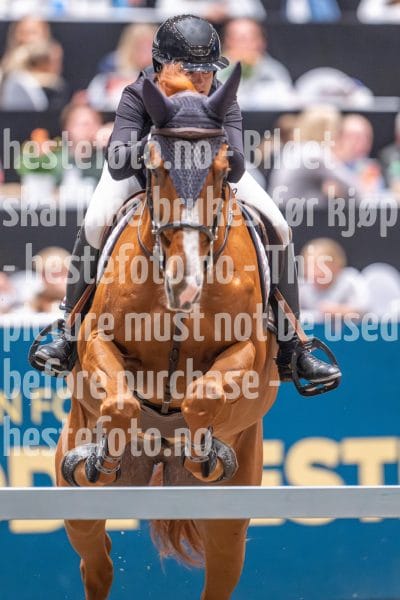 20241020-163446-2024-10-20-16-34-47-53-NIKON-Z-9