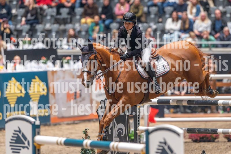 20241020-163509-2024-10-20-16-35-09-18-NIKON-Z-9