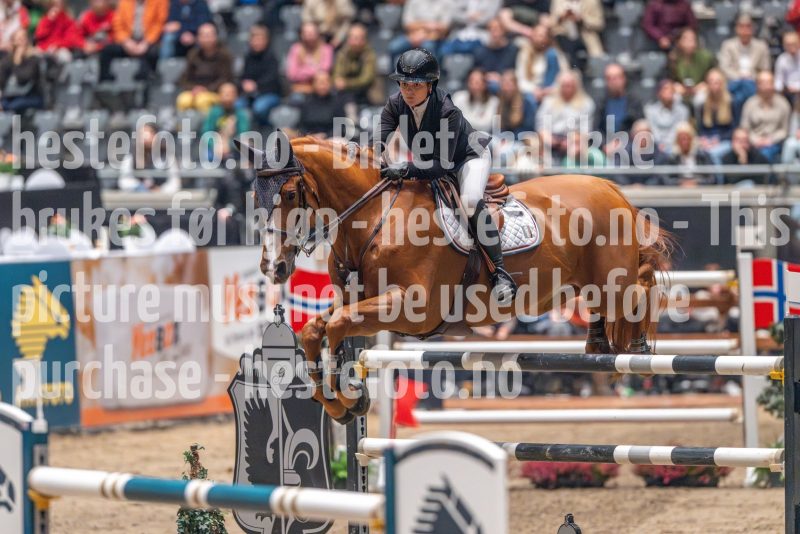 20241020-163509-2024-10-20-16-35-09-09-NIKON-Z-9