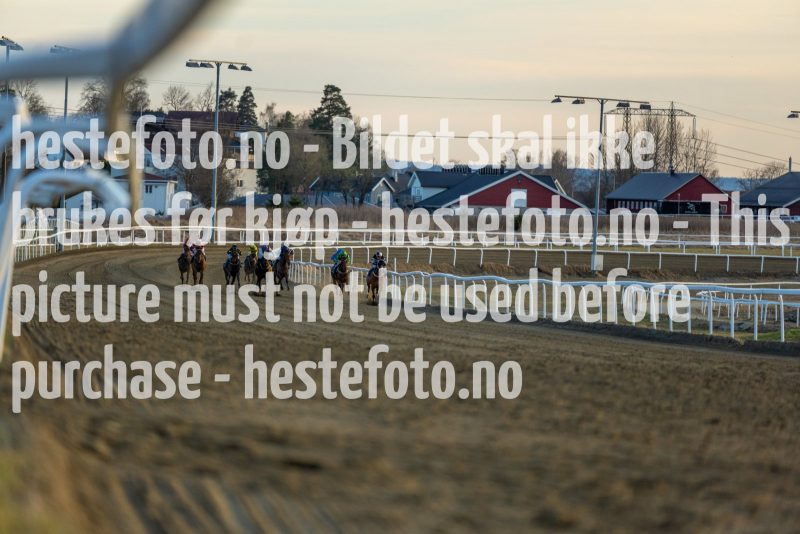 20220421-195951-DSC0690