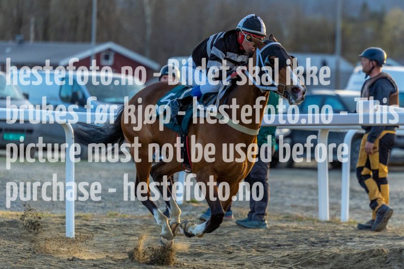 20220421-200001-DSC0703