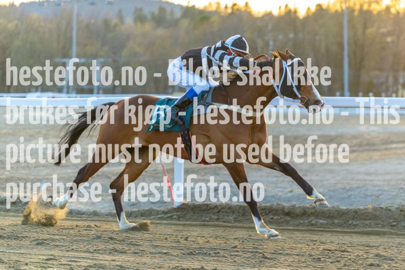 20220421-200002-DSC0709