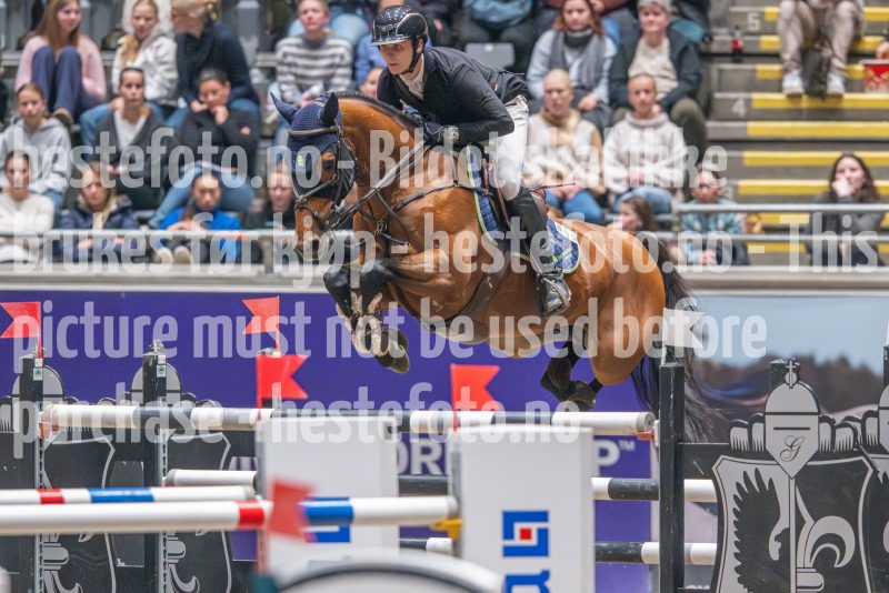 20241020-164914-2024-10-20-16-49-15-72-NIKON-Z-9