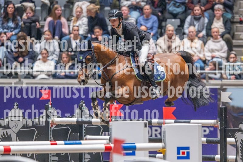 20241020-164914-2024-10-20-16-49-15-87-NIKON-Z-9