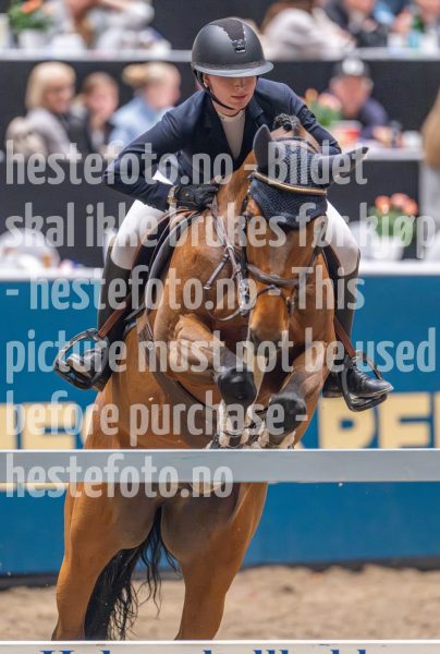 20241020-165109-2024-10-20-16-51-10-40-NIKON-Z-9