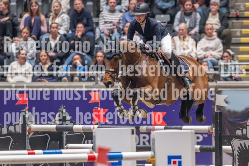 20241020-165129-2024-10-20-16-51-30-58-NIKON-Z-9