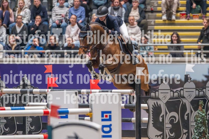 20241020-165129-2024-10-20-16-51-29-43-NIKON-Z-9