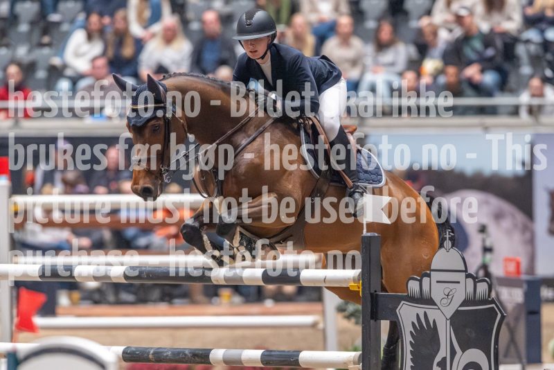 20241020-165132-2024-10-20-16-51-32-55-NIKON-Z-9
