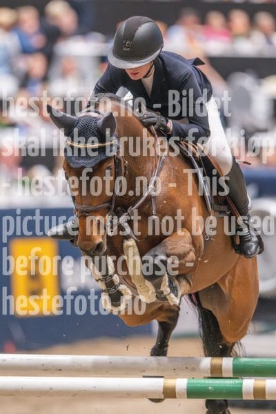 20241020-165136-2024-10-20-16-51-36-23-NIKON-Z-9