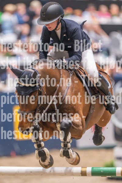 20241020-165136-2024-10-20-16-51-37-38-NIKON-Z-9