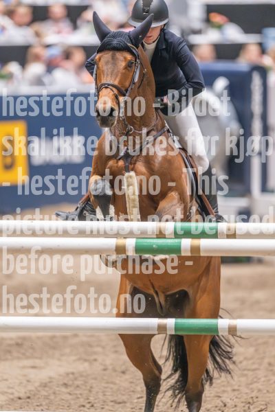 20241020-165135-2024-10-20-16-51-36-92-NIKON-Z-9