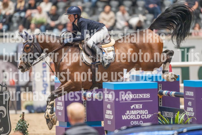 20241020-165257-2024-10-20-16-52-58-77-NIKON-Z-9