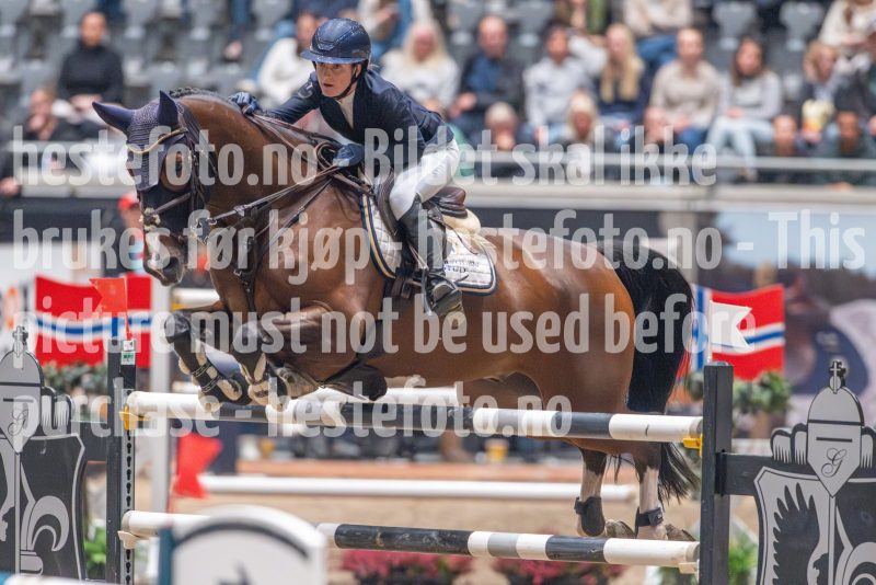 20241020-165330-2024-10-20-16-53-30-17-NIKON-Z-9