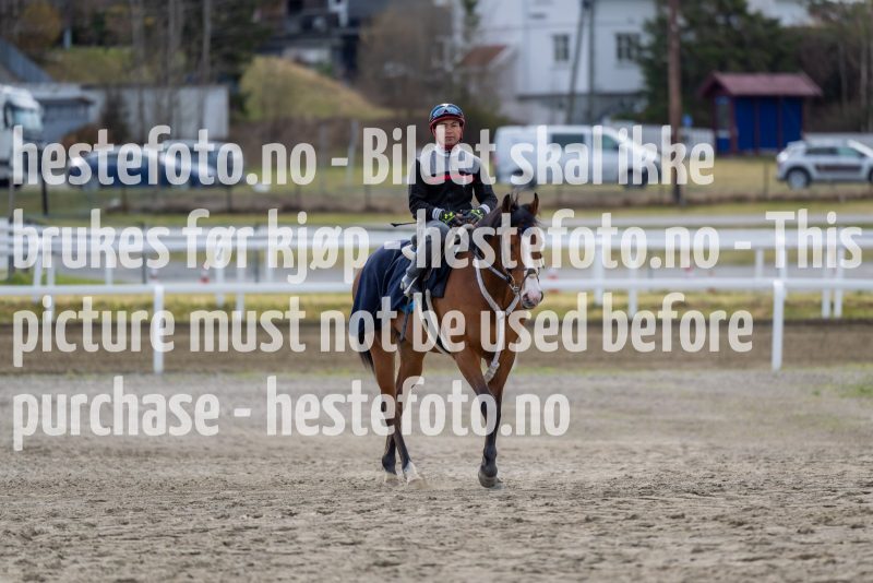 20220423-093946-DSC1083