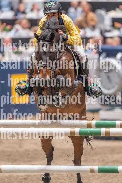 20241020-165539-2024-10-20-16-55-39-20-NIKON-Z-9