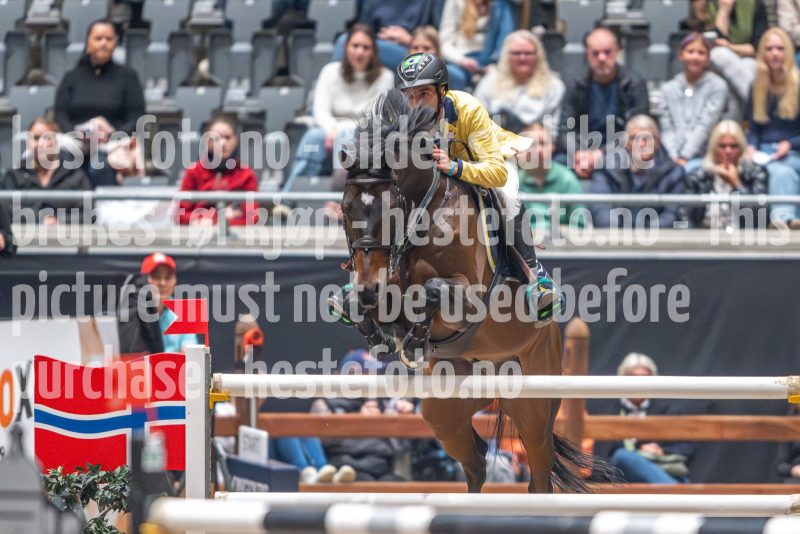 20241020-165601-2024-10-20-16-56-01-08-NIKON-Z-9