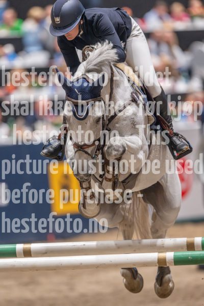 20241020-165757-2024-10-20-16-57-58-77-NIKON-Z-9-2
