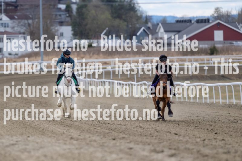 20220423-140015-DSC1915