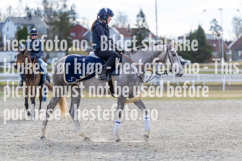 20220423-112529-DSC1314