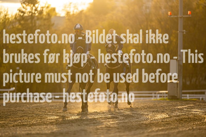 20220428-200000-DSC2405