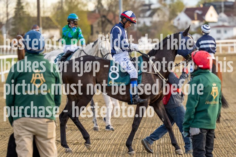 20220428-201909-DSC2524