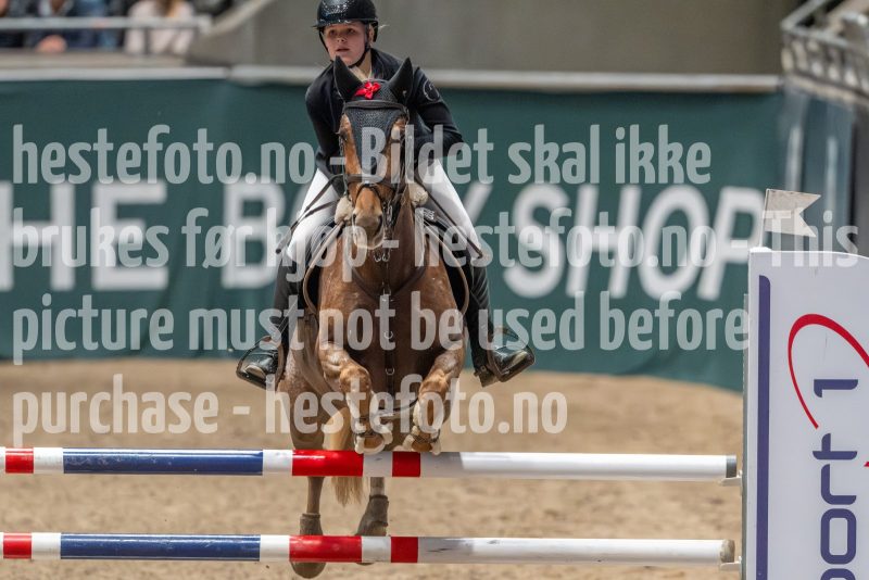 20241019-102451-2024-10-19-10-24-52-86-NIKON-Z-9