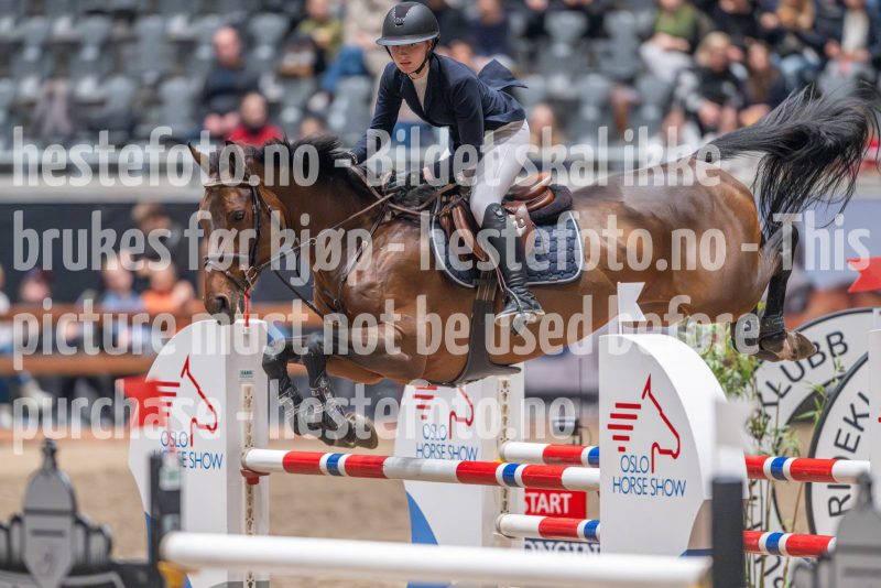 20241020-114107-2024-10-20-11-41-07-46-NIKON-Z-9