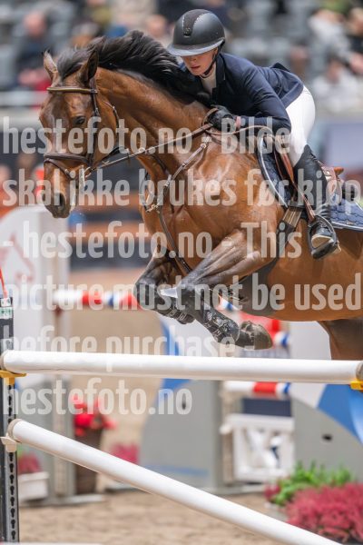 20241020-114158-2024-10-20-11-41-58-43-NIKON-Z-9