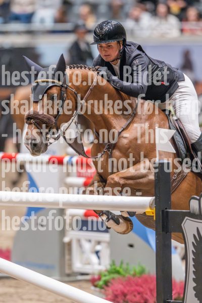 20241020-114355-2024-10-20-11-43-56-92-NIKON-Z-9