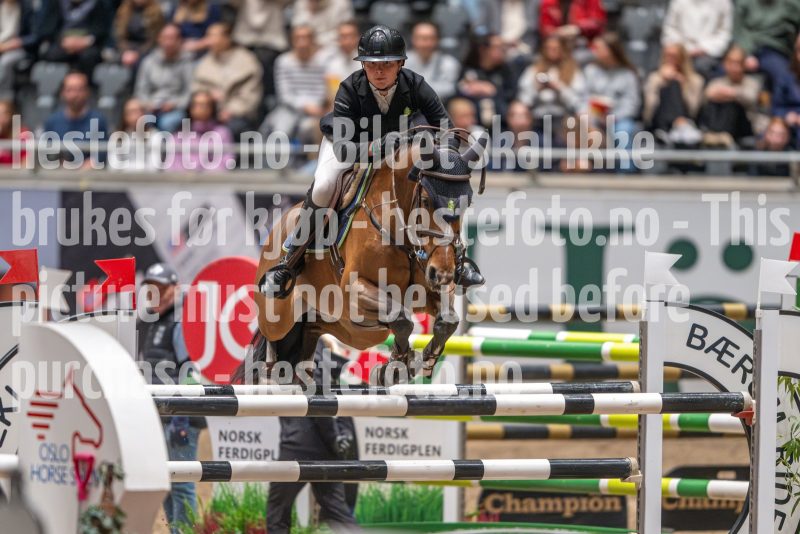 20241020-114551-2024-10-20-11-45-52-69-NIKON-Z-9