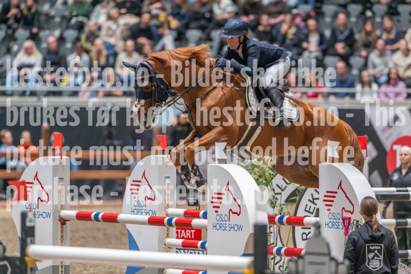 20241020-114906-2024-10-20-11-49-06-23-NIKON-Z-9
