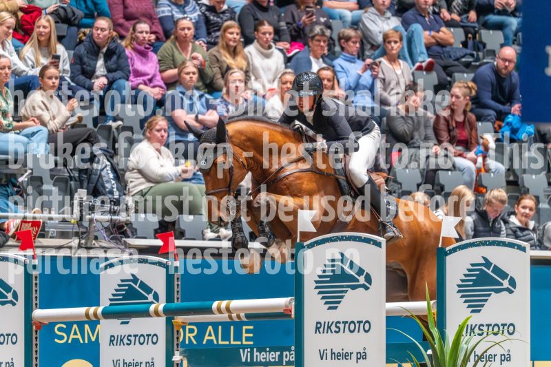 20241020-120314-2024-10-20-12-03-14-12-NIKON-Z-6-2