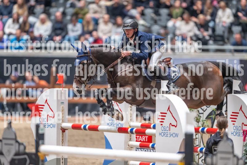 20241020-120809-2024-10-20-12-08-09-20-NIKON-Z-9