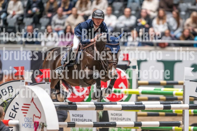 20241020-120826-2024-10-20-12-08-26-24-NIKON-Z-9