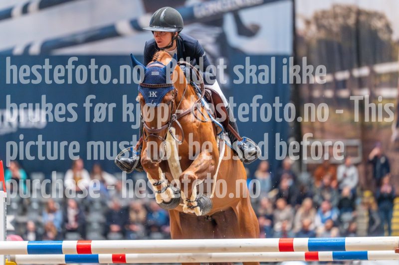 20241020-120929-2024-10-20-12-09-29-35-NIKON-Z-6-2