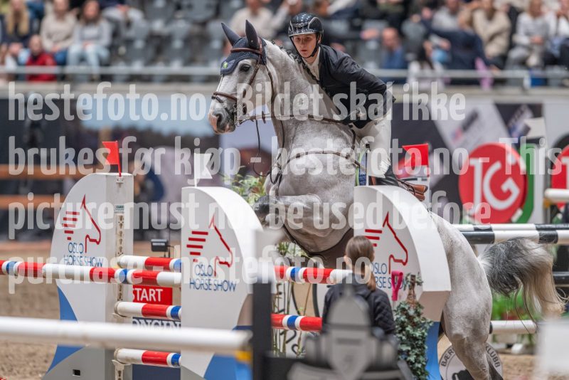 20241020-121255-2024-10-20-12-12-56-61-NIKON-Z-9