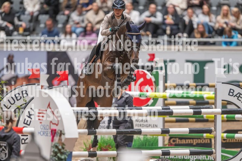 20241020-121455-2024-10-20-12-14-56-74-NIKON-Z-9