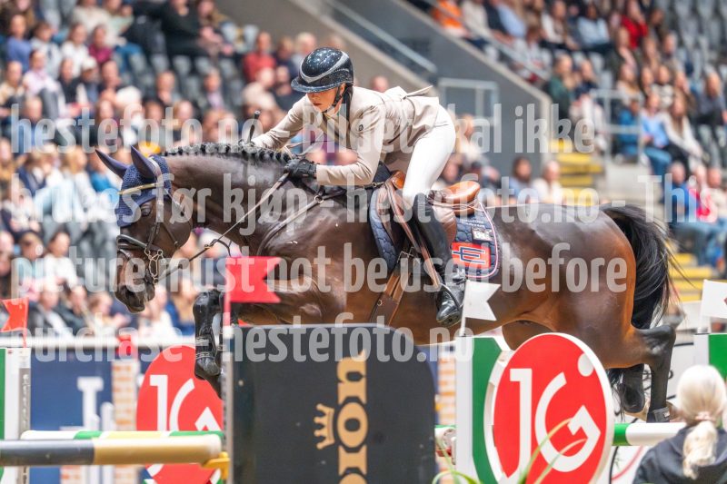 20241020-121503-2024-10-20-12-15-04-98-NIKON-Z-6-2