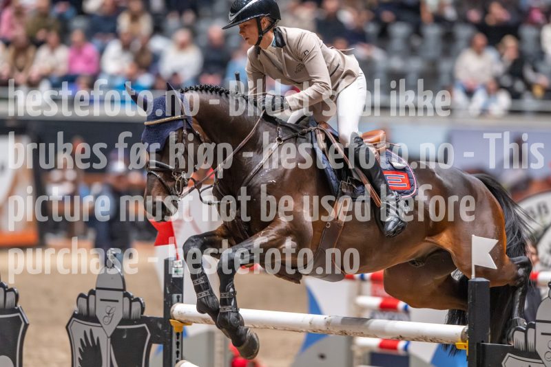 20241020-121523-2024-10-20-12-15-24-83-NIKON-Z-9