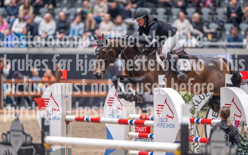 20241020-121612-2024-10-20-12-16-12-09-NIKON-Z-9
