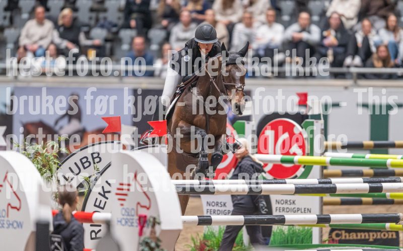 20241020-121628-2024-10-20-12-16-28-14-NIKON-Z-9